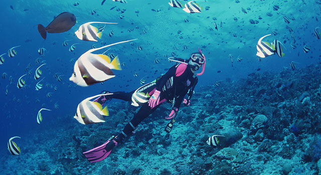 懷孕能潛水嗎？