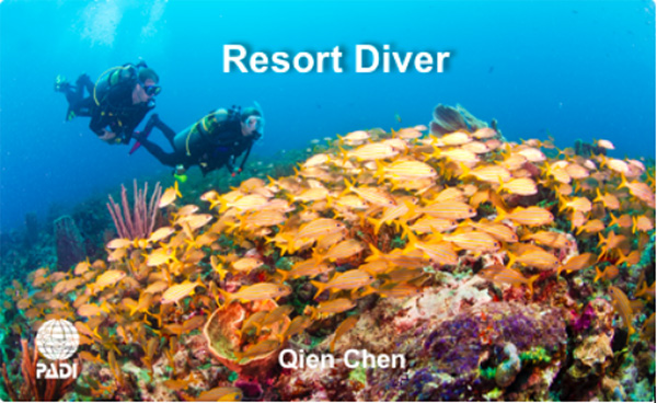 12/12正式上線！PADI 最新課程【休閑潛水員Resort Diver】 丨 一天拿證，潛遍全球