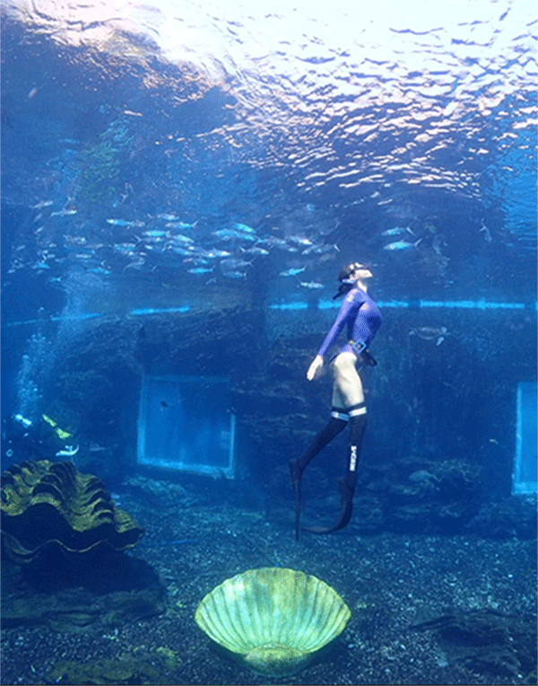 潛水常見問題，原來潛水沒你想的那么難