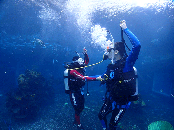 潛水常見問題，原來潛水沒你想的那么難
