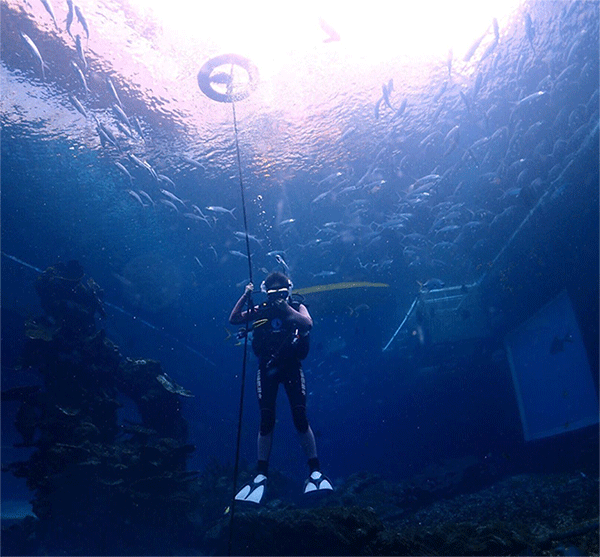 潛水常見問題，原來潛水沒你想的那么難