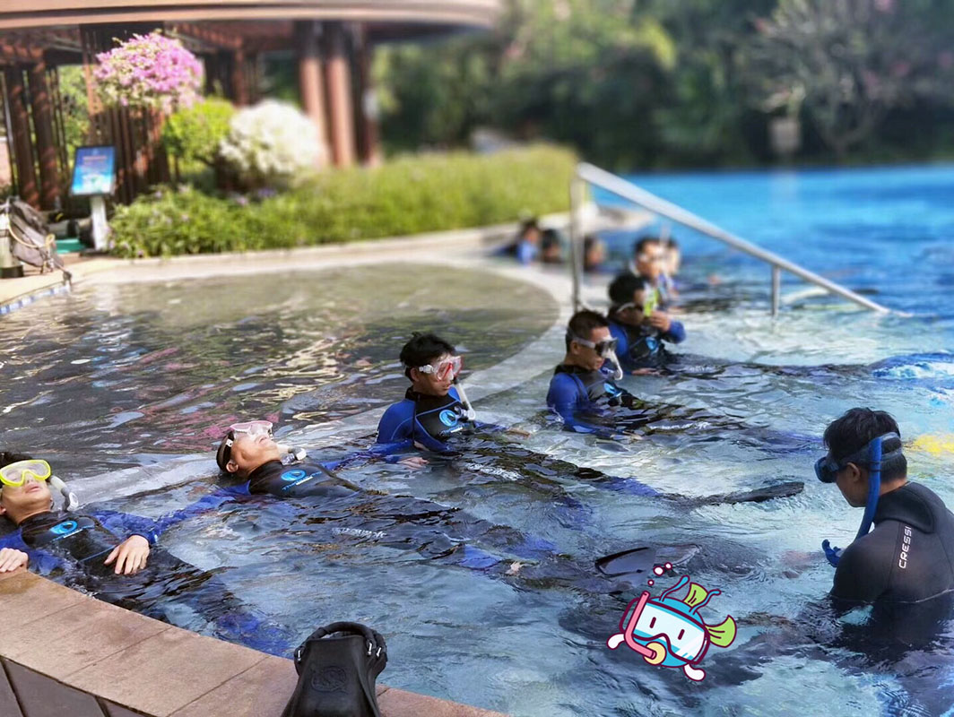 除了俯瞰大地的飛翔，還有潛入海底的翱翔。