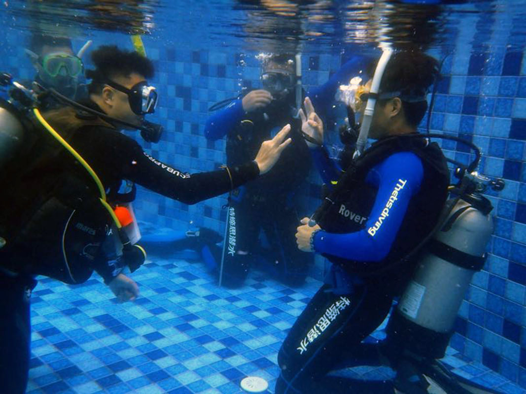 除了俯瞰大地的飛翔，還有潛入海底的翱翔。