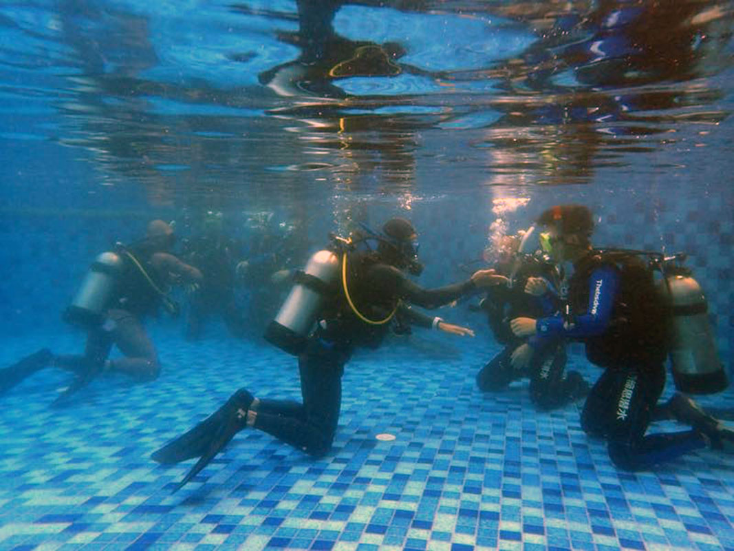 除了俯瞰大地的飛翔，還有潛入海底的翱翔。